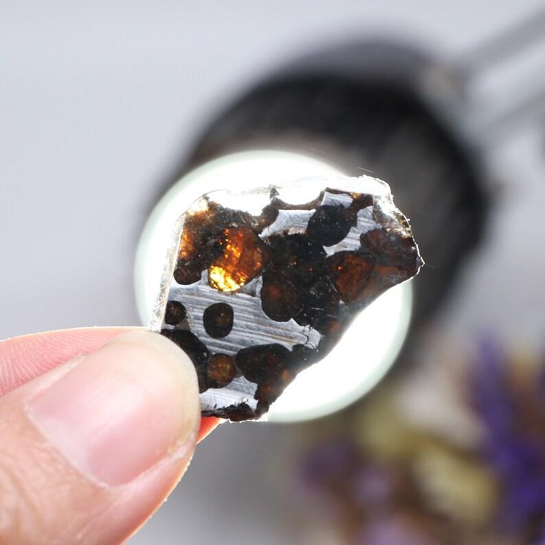 Beautiful SERICHO pallasite Meteorite slice - Alchemystics.org