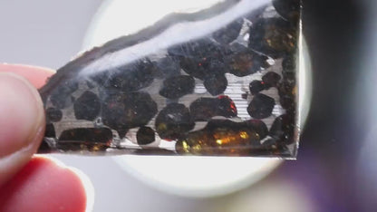 Beautiful SERICHO pallasite Meteorite slice - from Kenya